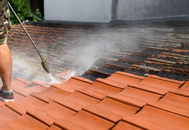 Best Pressure Washing Near Me  in Roscommon, MI