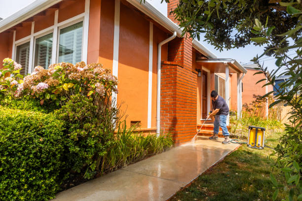 Best Local Pressure Washing Services  in Roscommon, MI