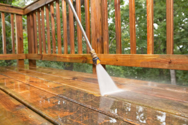 Best Pressure Washing Near Me  in Roscommon, MI
