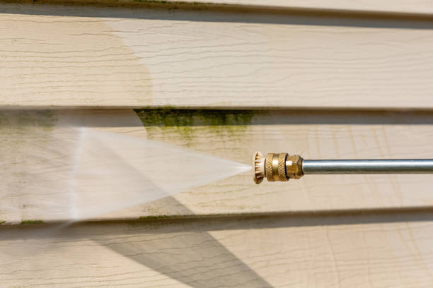 Best Power Washing Near Me  in Roscommon, MI